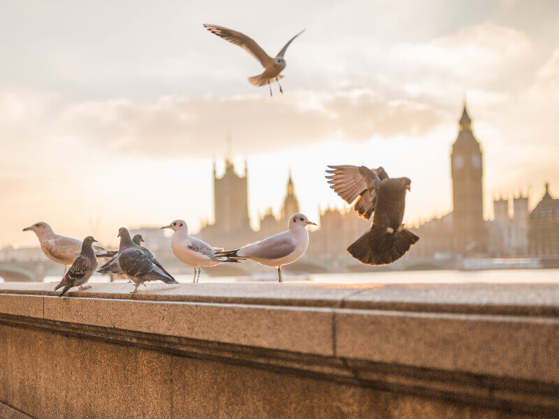 国务院总理李克强在第25次东盟与中日韩领导人会议上的讲话(全文)
